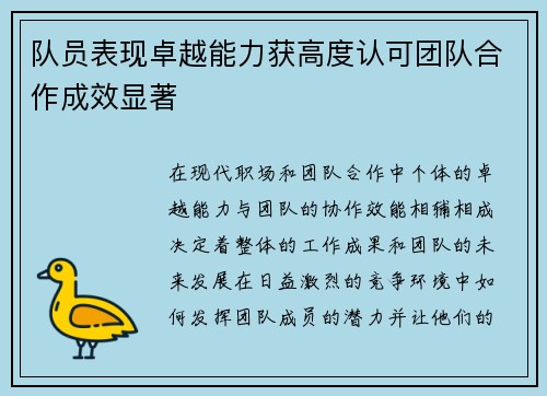 队员表现卓越能力获高度认可团队合作成效显著